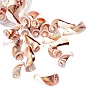 Natural Freshwater Shell Beads