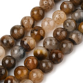 Natural Yellow Tiger Eye Beads Strands, Grade B, Round