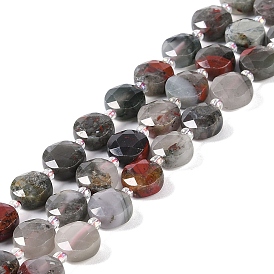 Natural African Bloodstone Beads Strands, with Seed Beads, Faceted Hexagonal Cut, Flat Round