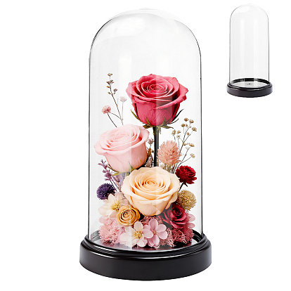 Acrylic Dome Cover, Decorative Display Case, Cloche Bell Jar Terrarium with Base