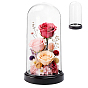 Acrylic Dome Cover, Decorative Display Case, Cloche Bell Jar Terrarium with Base