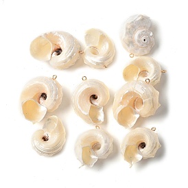 Подвески натурального морских раковин, подвески в форме ракушек с железными петлями светло-золотистого оттенка