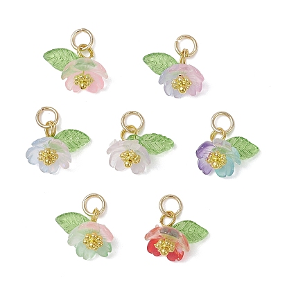 Подвески из прозрачной смолы и акрила, , со сплавочной фурнитурой