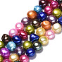 Natural Cultured Freshwater Pearl Beads Strands, Dyed, Oval
