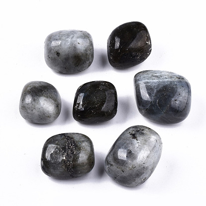 Natural Labradorite Beads, Healing Stones, for Energy Balancing Meditation Therapy, Tumbled Stone, Vase Filler Gems, No Hole/Undrilled, Nuggets