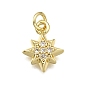 Латунные микро проложить кубического циркония подвески, звезда, долговечный, без свинца и без кадмия, стойки покрытие, с целью перехода в кольце