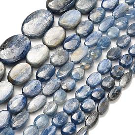Натуральный кианитовые бисер пряди, форма яйца