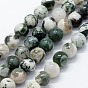 Natural Tree Agate Beads Strands, Round
