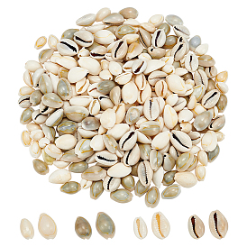 260шт 4 бусины из ракушек каури, формы раковины, без отверстия 