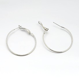 Iron Hoop Earrings