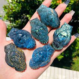 Natural Labradorite Carved Healing Owl with Skull Figurines, Reiki Energy Stone Display Decorations