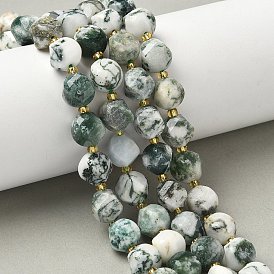 Натурального дерева агат бисер нитей, с бисером, граненые, твист