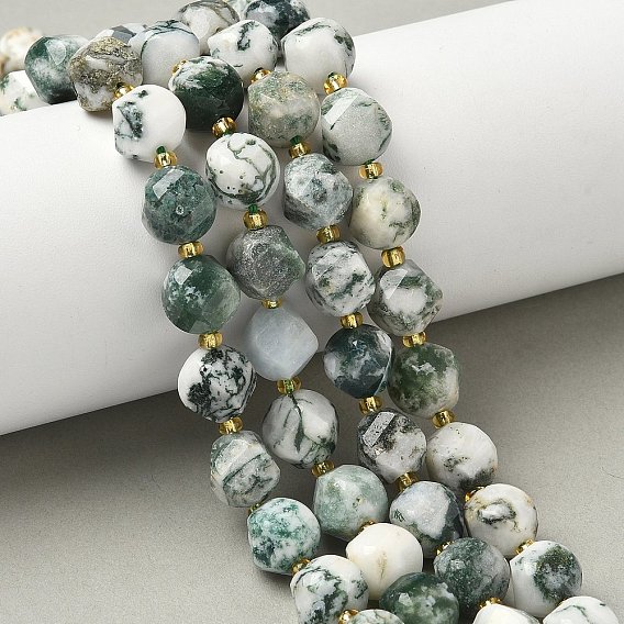 Натурального дерева агат бисер нитей, с бисером, граненые, твист