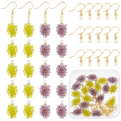 DIY Grape Shape Drop Earring Making Kit, Including Resin Pendants, Brass Earring Hooks