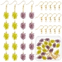 DIY Grape Shape Drop Earring Making Kit, Including Resin Pendants, Brass Earring Hooks