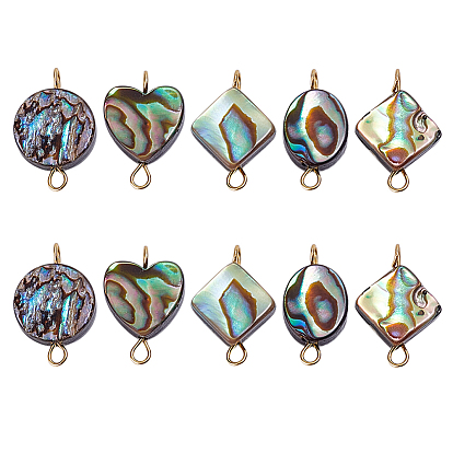 10 шт. 5 стиль, подвески из натуральной раковины морского ушка/корпуса пауа, с латунной фурнитурой , разнообразные