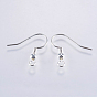 Brass Earring Hooks, Ear Wire, with Horizontal Loop, Long-Lasting Plated, Lead Free & Cadmium Free