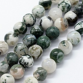 Natural Tree Agate Beads Strands, Round