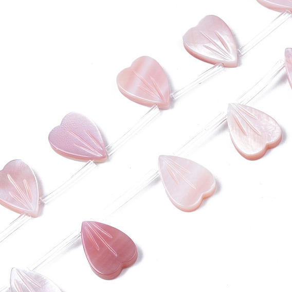 Natural Sea Shell Beads Strands, Heart
