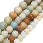 Natural Frosted Flower Amazonite Beads Strands, Round