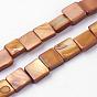 Natural Freshwater Shell Beads Strands, Dyed, Square