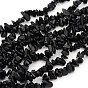 Natural Obsidian Beads Strands, Dyed, Chip