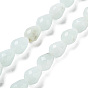 Natural Amazonite Beads Strands, Faceted Teardrop