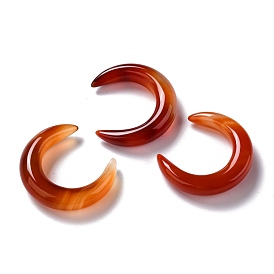 Natural Carnelian Beads, No Hole, for Wire Wrapped Pendant Making, Double Horn/Crescent, Dyed & Heated