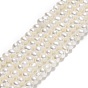Natural Cultured Freshwater Pearl Beads Strands, Potato