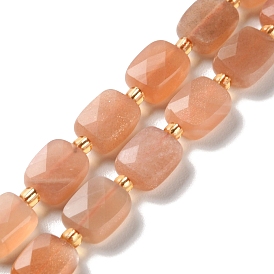 Natural Sunstone Beads Strands, Faceted, Rectangle, with Seed Beads