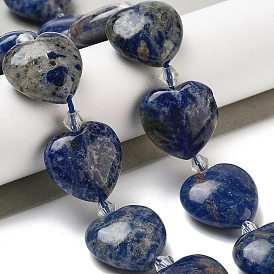 Natural Sodalite Beads Strands, Heart, with Seed Beads