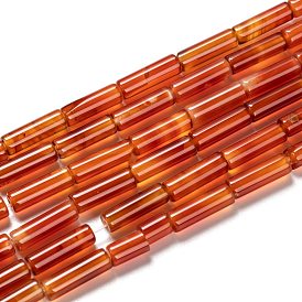 Natural Carnelian Beads Strands, Dyed & Heated, Column