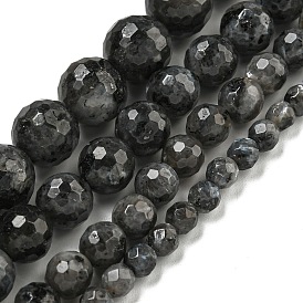 Natural Larvikite Beads Strands, (128 Facets)Faceted, Round