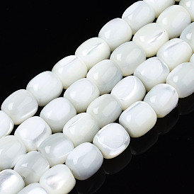 Натуральная оболочка из трохидных оболочек, отбеливатель, баррель