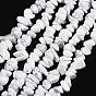 Synthetical Howlite Chips Beads Strands, 5~8mm, Hole: 0.3mm, about 80~81cm