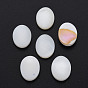 Coquille eau douce naturelle cabochons, ovale