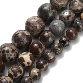 Нити бусин из натуральной яшмы астроита, круглые