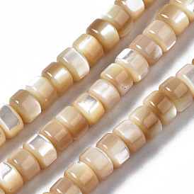 Natural Trochid Shell/Trochus Shell Beads Strands, Column