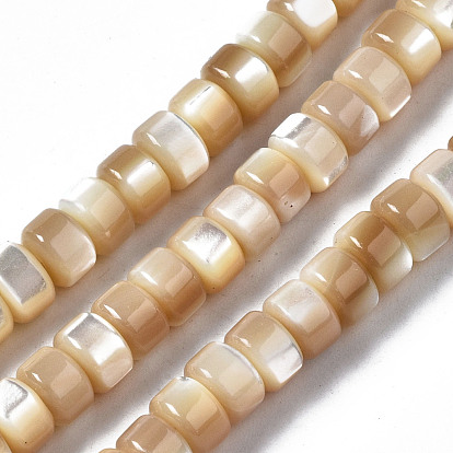 Natural Trochid Shell/Trochus Shell Beads Strands, Column