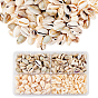 Natural Cowrie Shell Beads, Drilled & Undrilled/No Hole Beads