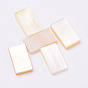 Cabochons coquille, rectangle
