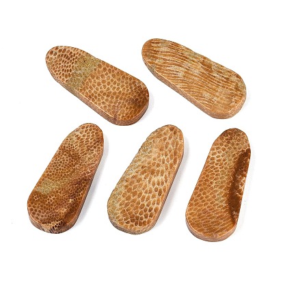 Natural Fossil Coral Pendants, Oval Charms