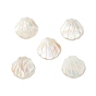 Natural Sea Shell Pendants, Shell Shape Charms