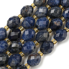 Natural Sodalite Beads Strands, Faceted, Oval, with Seed Beads