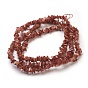 Spray Painted Freshwater Shell Beads Strands, Chip