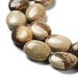 Natural Picture Jasper Beads Strands, Flat Oval