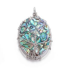 Abalone Shell/Paua Shell Wire Wrapped Big Pendants, with Brass Findings, Oval with Tree