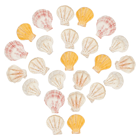 Perles de coquille Saint-Jacques naturelles, perles de coquille de mer, perles non percées / sans trou
