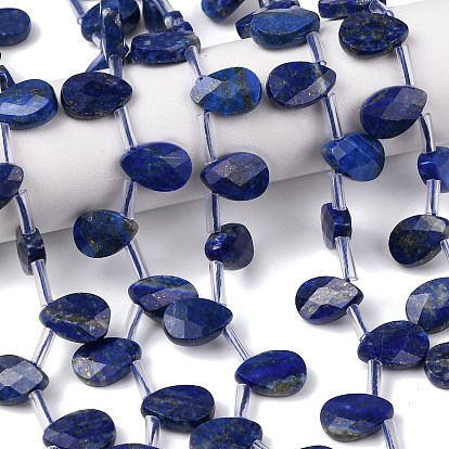 Нитки бусины из натурального ляписа-лазури, Грановитая Teardrop, Топ пробуренной, с пластиковыми трубчатыми бусинами