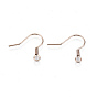 304 Stainless Steel Earring Hooks, Ear Wire, with Horizontal Loop